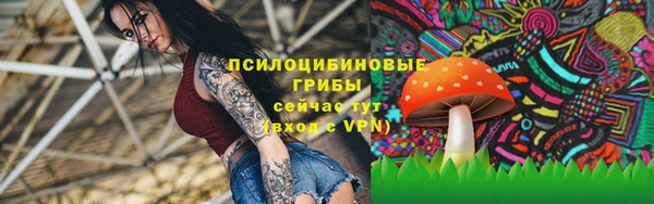 mix Богородицк