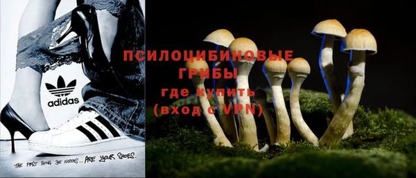 ECSTASY Липки