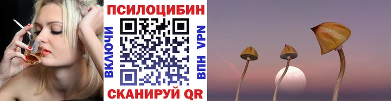 Псилоцибиновые грибы прущие грибы  где можно купить   Морозовск 