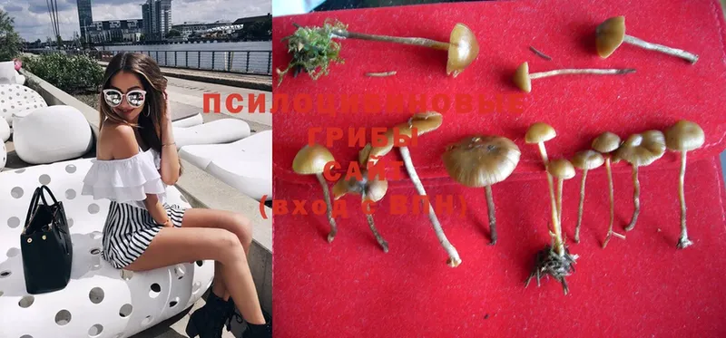 ОМГ ОМГ ссылка  Морозовск  Галлюциногенные грибы Magic Shrooms  даркнет сайт 