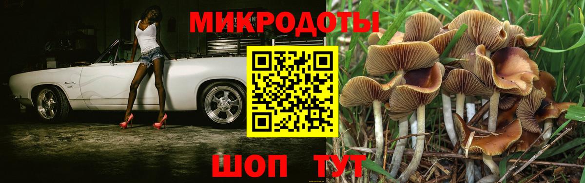 Псилоцибиновые грибы Psilocybe  Вход с VPN  Морозовск 