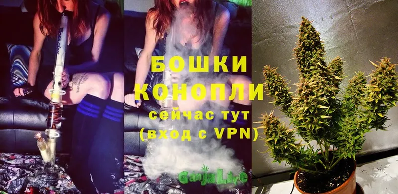 Шишки марихуана OG Kush  купить наркотики цена  Морозовск 